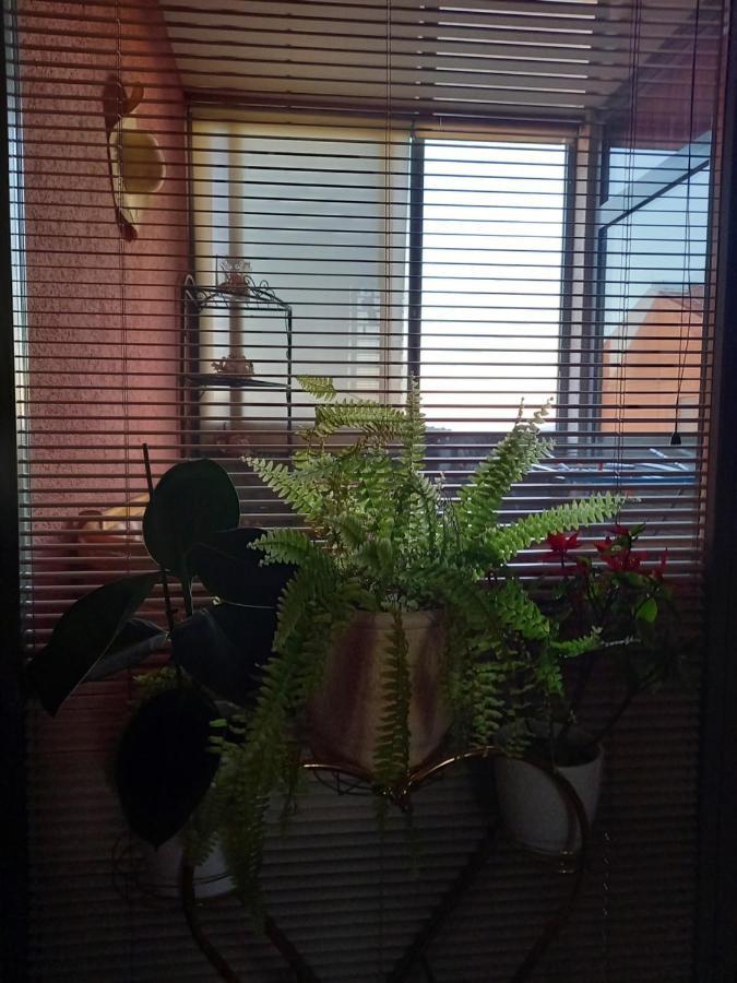 Appartement Rab Centar Due à Palit Extérieur photo